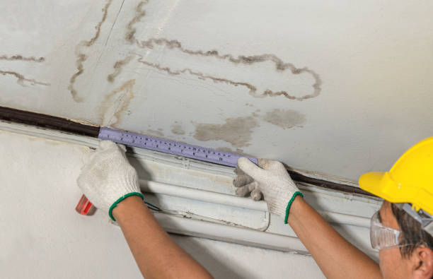 Reliable Water Damage contractor in Blaine, MN by Water Damage Irwin